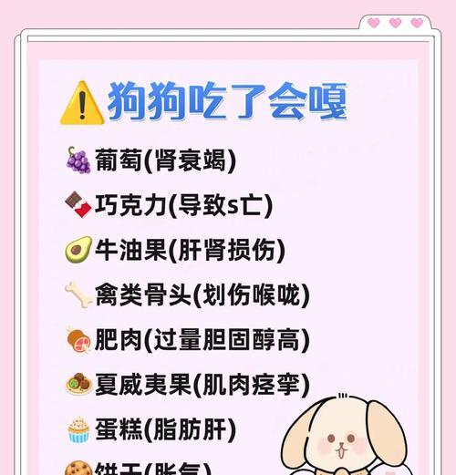 给狗狗购买食物时应注意什么？有哪些健康食品推荐？