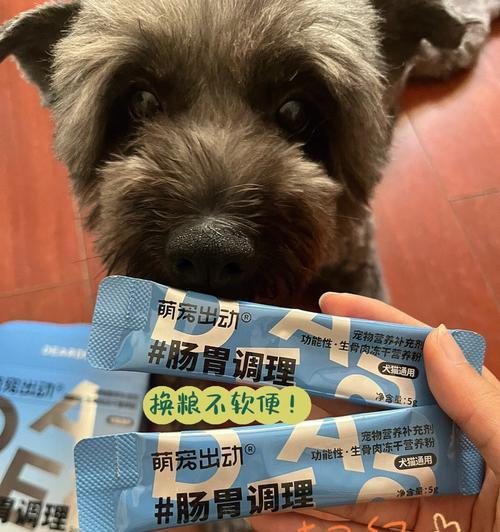 狗狗细小后腿软的原因及应对方法（揭秘狗狗软便与细小的关系）