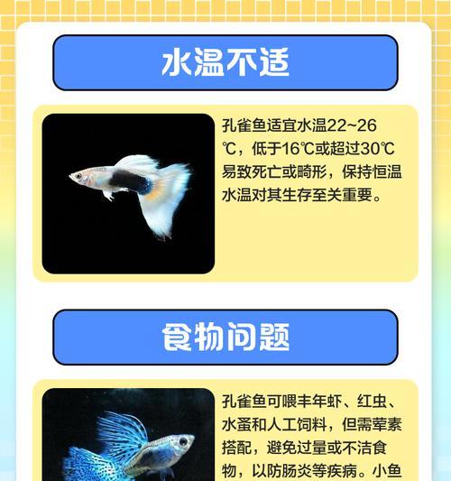 金鱼食用孔雀鱼后死亡的原因是什么？