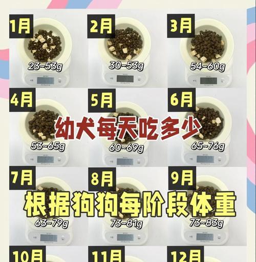 幼犬每天应该吃多少粮食?如何计算合适的食量? 幼犬每天应该吃多少粮食?如何计算合适的食量?