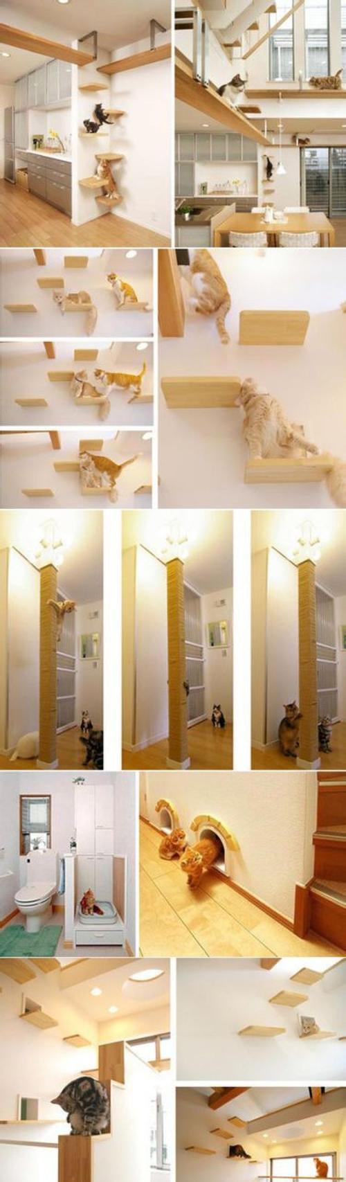 为爱宠设计的“猫之家”(打造舒适) 为爱宠设计的“猫之家”(打造舒适)