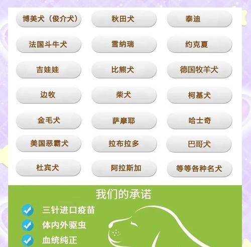 拉布拉多幼犬训练课程费用是多少? 拉布拉多幼犬训练课程费用是多少?