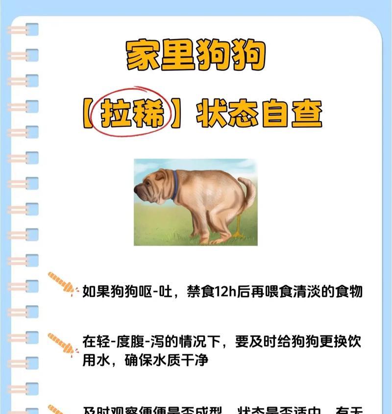 金毛拉稀的原因是什么?如何进行初步处理? 金毛拉稀的原因是什么?如何进行初步处理?