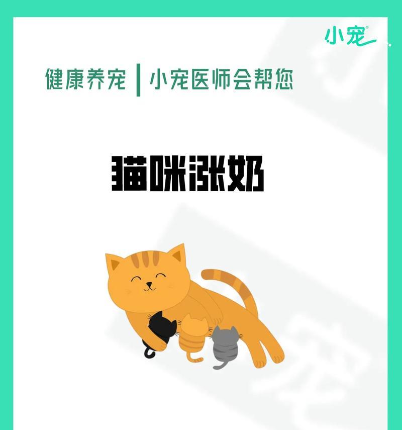 母猫生完小猫没奶怎么办？如何促进母猫泌乳？