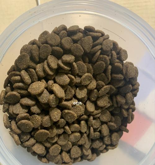 宠物的渴望(揭秘宠物内心深处的真实情感) 宠物的渴望(揭秘宠物内心深处的真实情感)