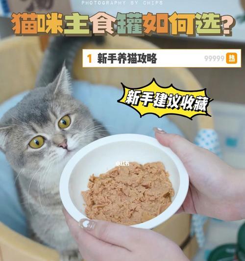 小猫罐头食量控制(以宠物为主) 小猫罐头食量控制(以宠物为主)