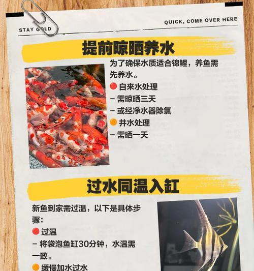 如何在锦鲤鱼池中正确使用复合芽孢杆菌？
