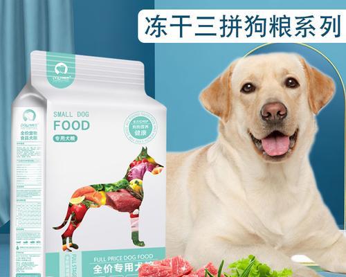 幼犬狗粮喂养指南（一份完整的幼犬饮食计划）