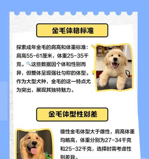 金毛成年可以长到多少千克?如何控制体重? 金毛成年可以长到多少千克?如何控制体重?