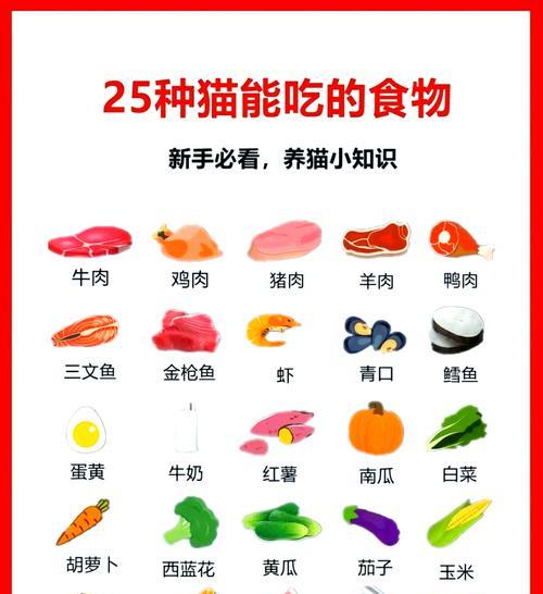 哪些食物可能导致小猫流产? 哪些食物可能导致小猫流产?