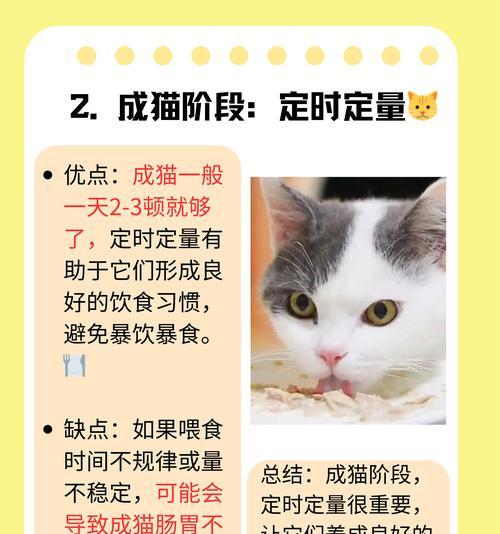 哪些食物可能导致小猫流产? 哪些食物可能导致小猫流产?