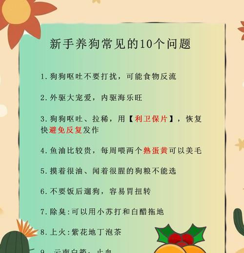 养狗子有哪些注意事项？娶狗子前需要考虑什么？