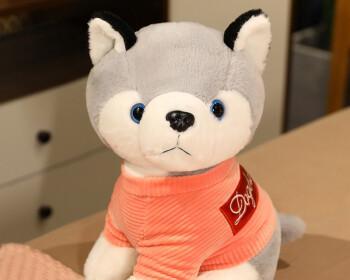 10天小猫的饮食需求与营养摄入量分析（宠物养护指南——如何保证小猫健康成长）