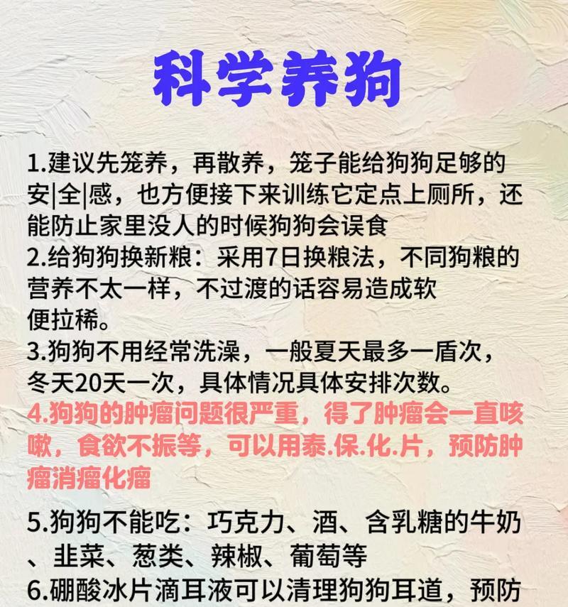 狗狗高价回收怎么处理？回收流程和注意事项是什么？
