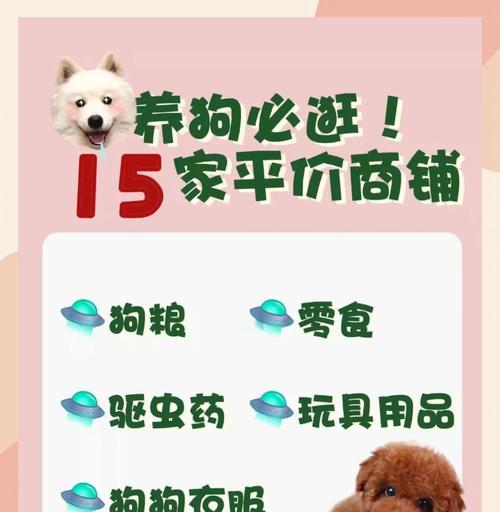 狗狗高价回收怎么处理？回收流程和注意事项是什么？