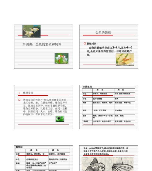 宠物养殖之金鱼饲养方法(打造宠物好生活) 宠物养殖之金鱼饲养方法(打造宠物好生活)