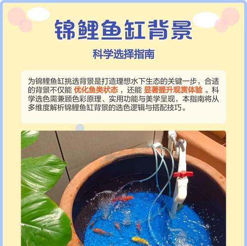 大正三色锦鲤的饲养方法（宠物养殖必备）