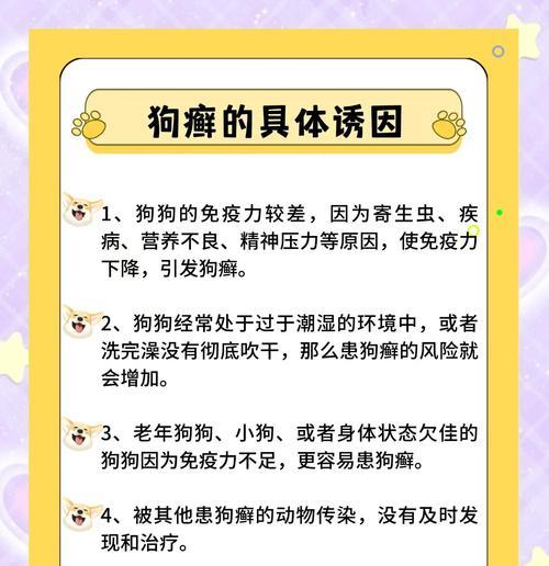 狗狗频繁痒痒怎么办?可能的原因和解决方法是什么? 狗狗频繁痒痒怎么办?可能的原因和解决方法是什么?