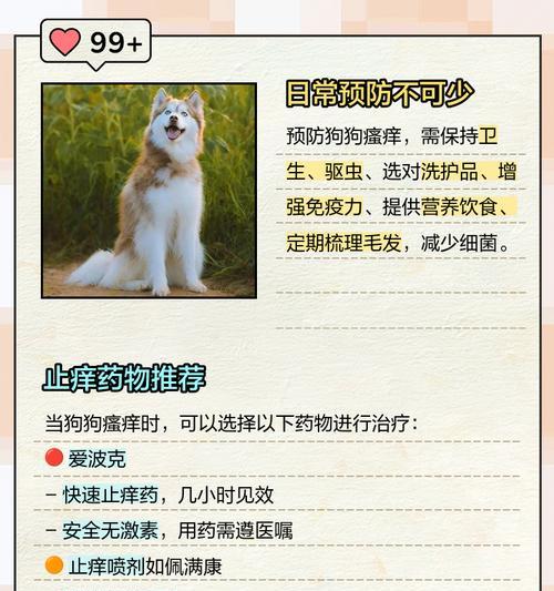 狗狗频繁痒痒怎么办?可能的原因和解决方法是什么? 狗狗频繁痒痒怎么办?可能的原因和解决方法是什么?
