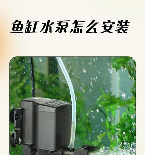 选择锦鲤鱼池水泵时应该考虑哪些因素？哪种水泵更合适？