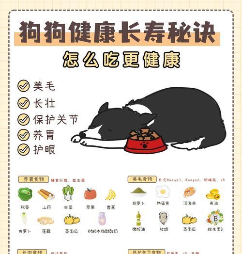 狗狗的饮食如何搭配？哪些食物对狗狗有益？