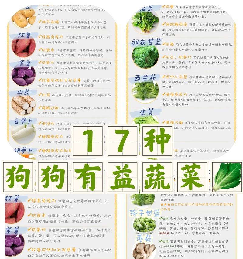 狗狗的饮食如何搭配？哪些食物对狗狗有益？