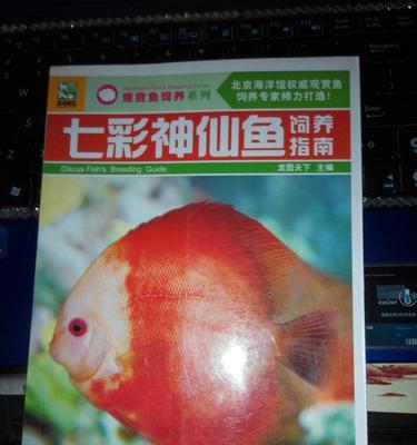 埃及神仙鱼的饲养全攻略（打造健康快乐的宠物生活）