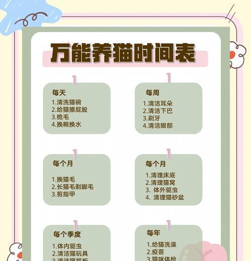 怎么照顾小猫的奶奶？有哪些注意事项？