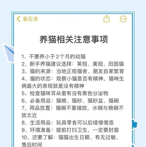 怎么照顾小猫的奶奶？有哪些注意事项？