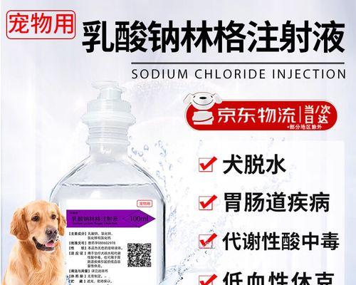 如何给体虚的宠物狗选择合适的药物（掌握正确的药物知识）