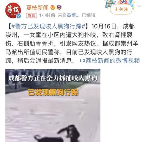 如何应对狗咬人事件（人能否打死宠物狗）