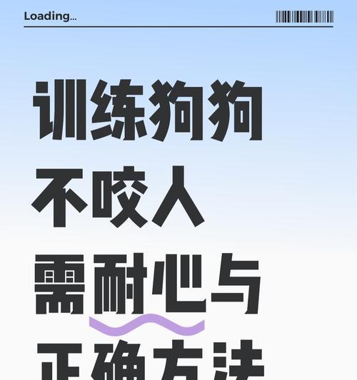 如何应对狗咬人事件（人能否打死宠物狗）