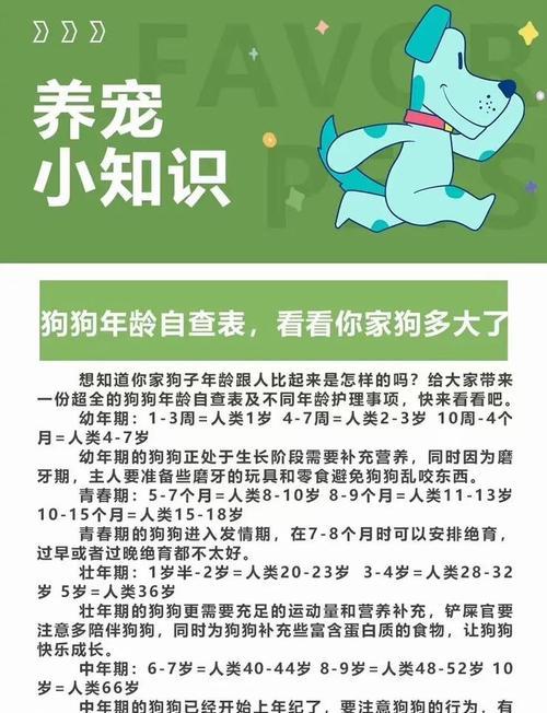 小狗狗为什么被称为小狗？它们的成长过程是怎样的？