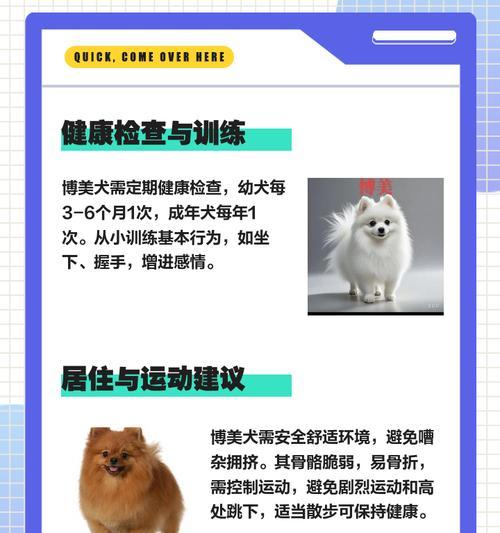 博美犬声带剪除手术安全吗?术后护理需要注意什么? 博美犬声带剪除手术安全吗?术后护理需要注意什么?