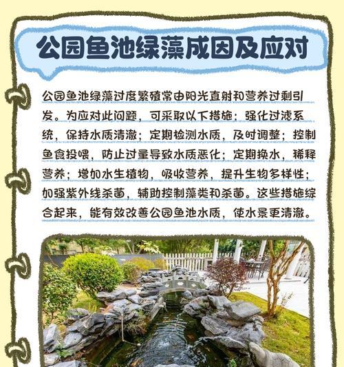 锦鲤鱼池如何清理青苔?适合养什么? 锦鲤鱼池如何清理青苔?适合养什么?