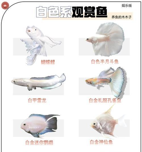观赏鱼品种有哪些？