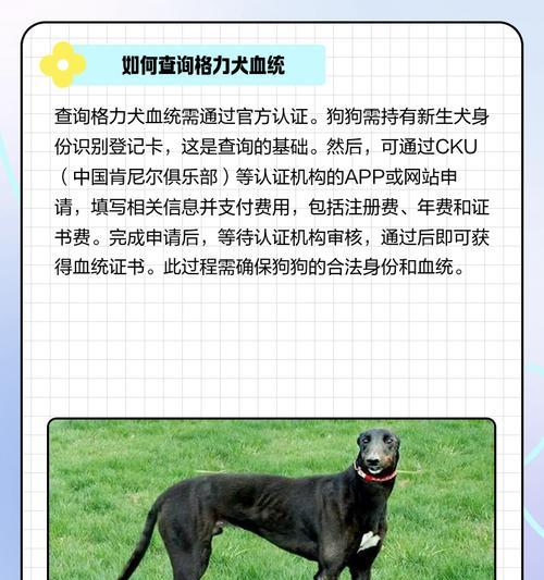 揭秘格力犬快要下狗的症状(宠物狗快要下狗) 揭秘格力犬快要下狗的症状(宠物狗快要下狗)