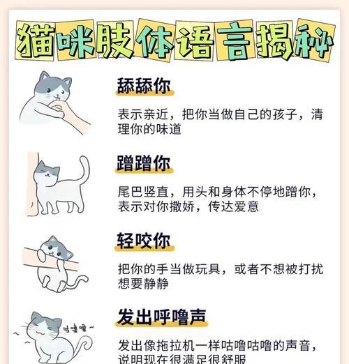 小猫为何会做出不良行为?如何纠正小猫行为? 小猫为何会做出不良行为?如何纠正小猫行为?
