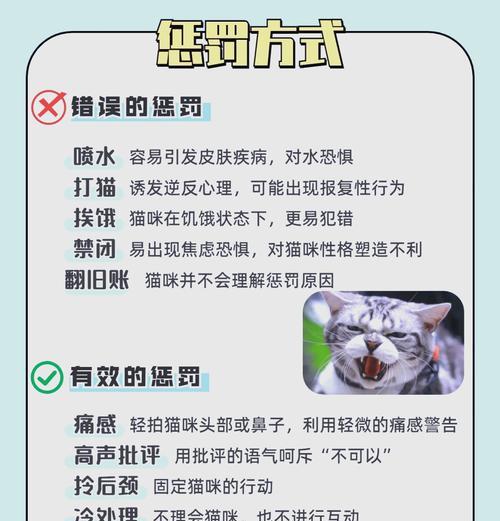 小猫为何会做出不良行为?如何纠正小猫行为? 小猫为何会做出不良行为?如何纠正小猫行为?