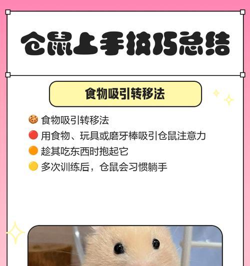 给仓鼠按摩的正确方法是什么?仓鼠按摩有哪些好处? 给仓鼠按摩的正确方法是什么?仓鼠按摩有哪些好处?