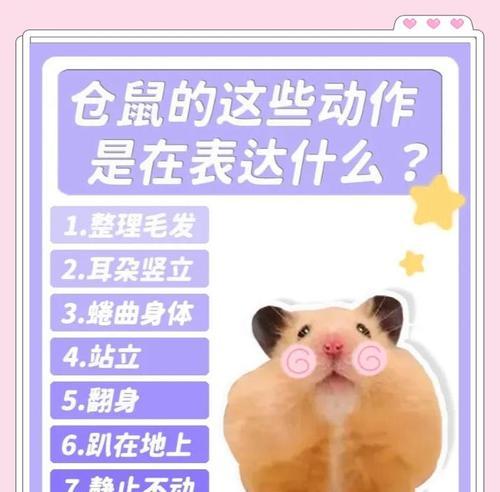 给仓鼠按摩的正确方法是什么?仓鼠按摩有哪些好处? 给仓鼠按摩的正确方法是什么?仓鼠按摩有哪些好处?
