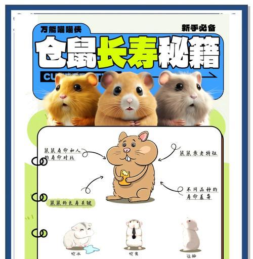 给仓鼠按摩的正确方法是什么?仓鼠按摩有哪些好处? 给仓鼠按摩的正确方法是什么?仓鼠按摩有哪些好处?