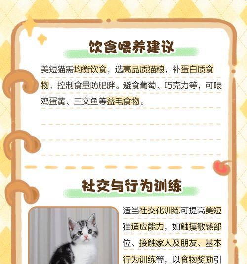 如何养护你的美短猫(一起来了解美短猫的日常护理及健康保健) 如何养护你的美短猫(一起来了解美短猫的日常护理及健康保健)