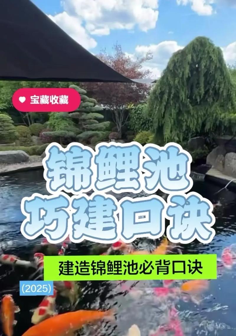 锦鲤鱼池水如何保持清澈？有哪些有效方法？