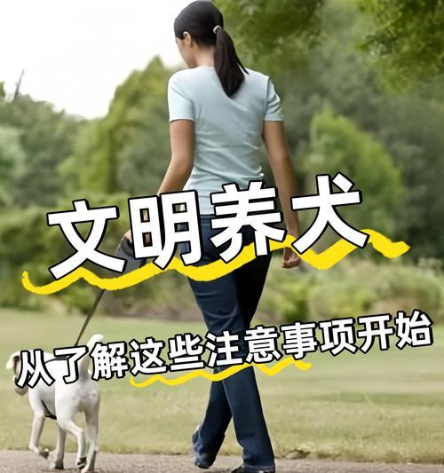 小狗初养指南——如何呵护你的新宠物（宠物新手必读）