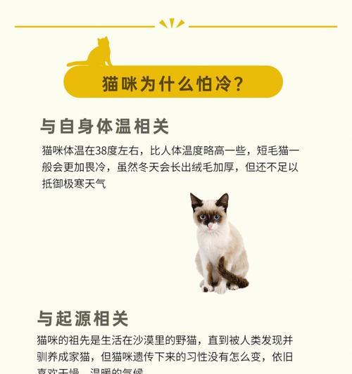 猫咪的正常体温是多少(探究猫咪体温的重要性和测量方法) 猫咪的正常体温是多少(探究猫咪体温的重要性和测量方法)