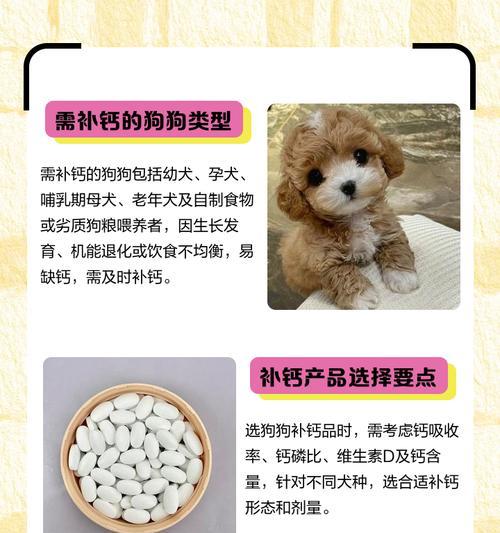 半斤重的狗狗如何补钙？补钙的正确方法是什么？