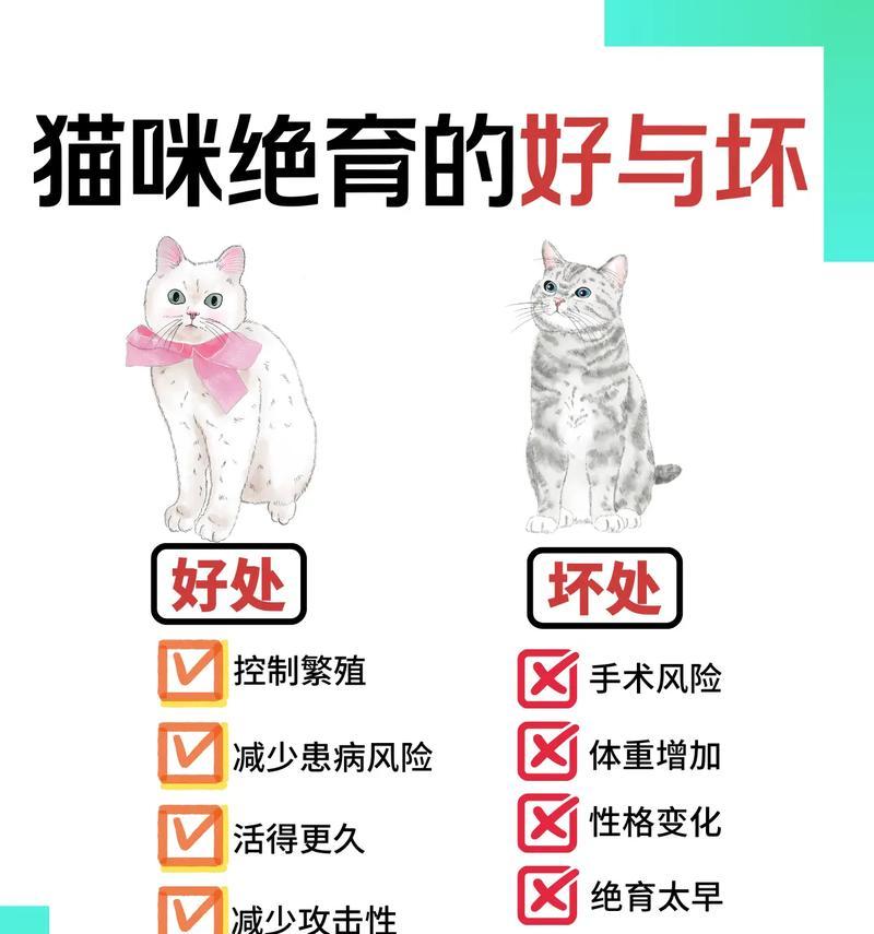 母猫绝育的必要性（宠物健康福利与社会责任）