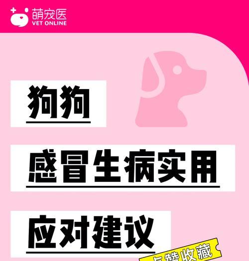 如何应对宠物感冒（狗狗感冒了）