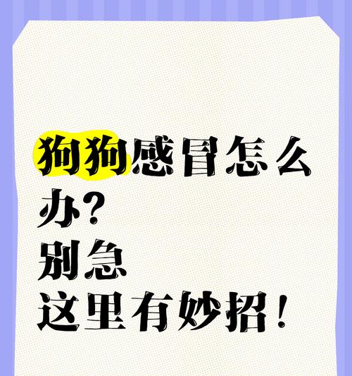 如何应对宠物感冒(狗狗感冒了) 如何应对宠物感冒(狗狗感冒了)